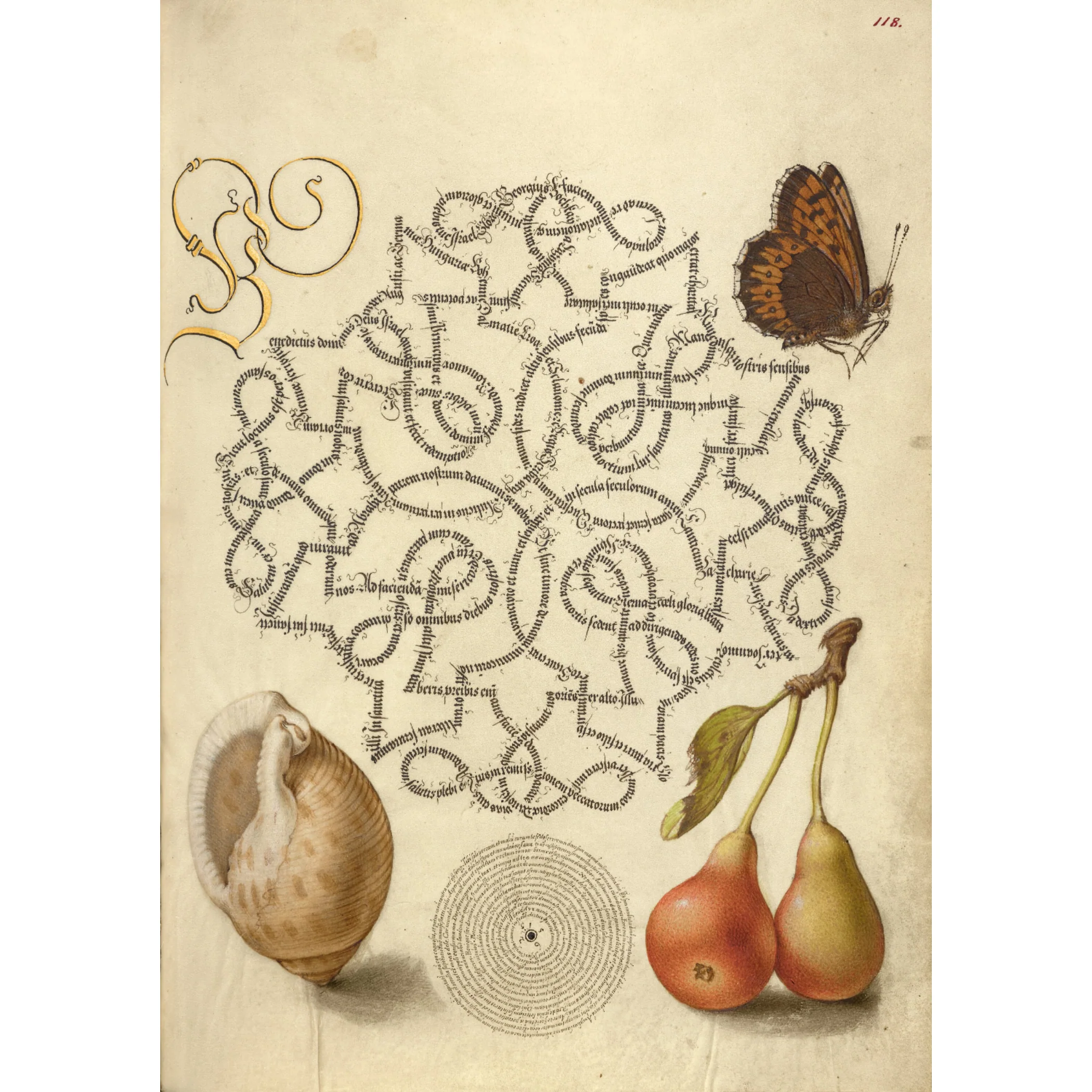 Manuscript Calligraphy Earrings - Image 3