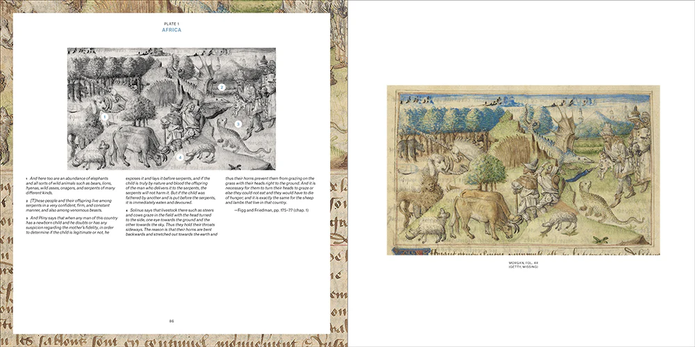 The Book of Marvels: A Medieval Guide to the Globe - Image 7