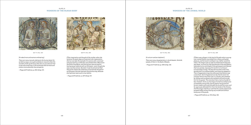 The Book of Marvels: A Medieval Guide to the Globe - Image 8