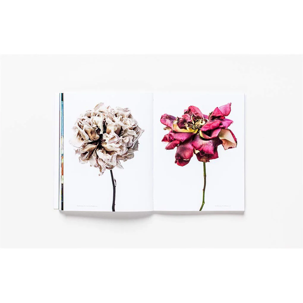 The Book of the Flower: Flowers in Art - Image 3